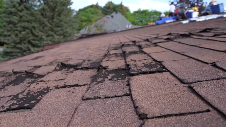 Best Hot Roofs  in Round Lake Park, IL
