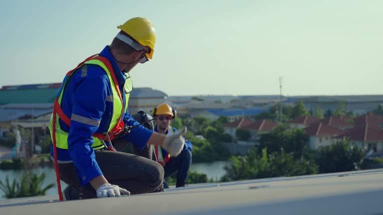 Best Steel Roofing  in Round Lake Park, IL