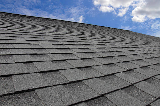 Best Roof Leak Repair  in Round Lake Park, IL